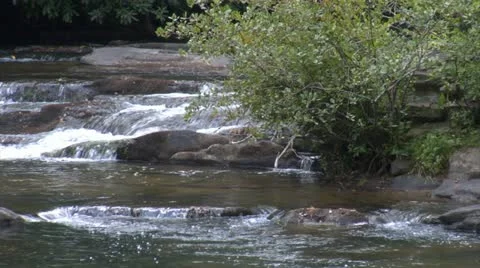 Flowing Stream (1080-24FPS).mp4 Stock Footage 10976626