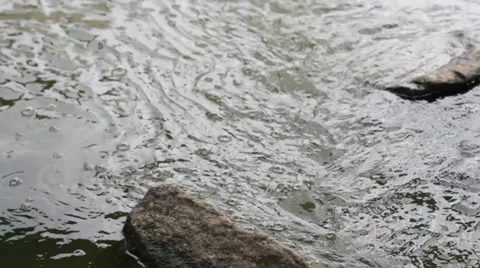 The Flowing Stream 7 Stock Footage 39382184