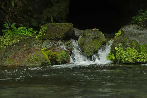 Flowing Stream and Rocks Stock Photos