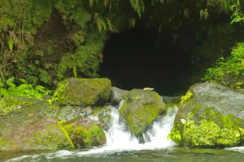 Flowing Stream and Rocks Stock Photos