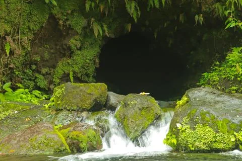 Flowing Stream and Rocks Stock Photos