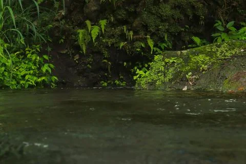 Flowing Stream and Rocks Stock Photos
