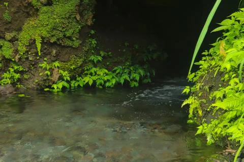Flowing Stream and Rocks Stock Photos