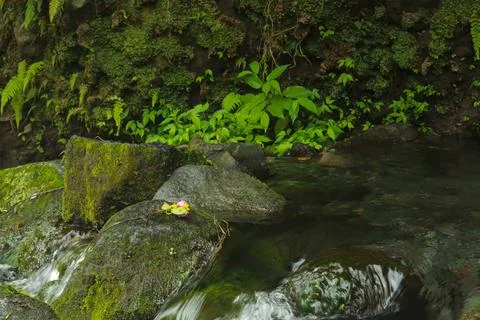Flowing Stream and Rocks Stock Photos