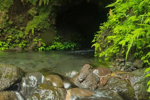 Flowing Stream and Rocks Stock Photos