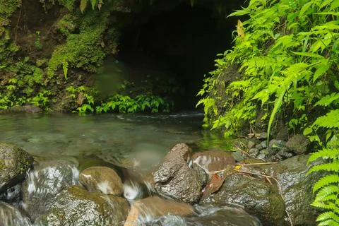 Flowing Stream and Rocks Stock Photos