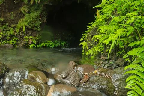 Flowing Stream and Rocks Stock Photos