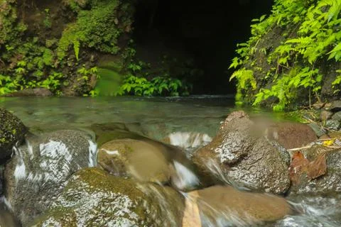 Flowing Stream and Rocks Stock Photos