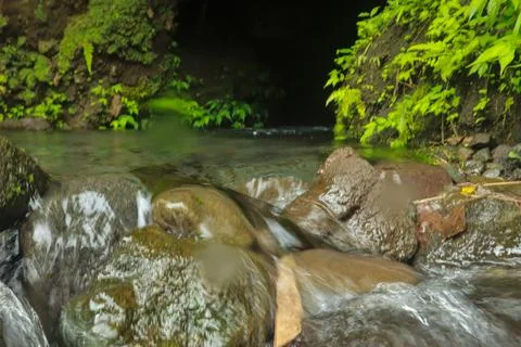 Flowing Stream and Rocks Stock Photos