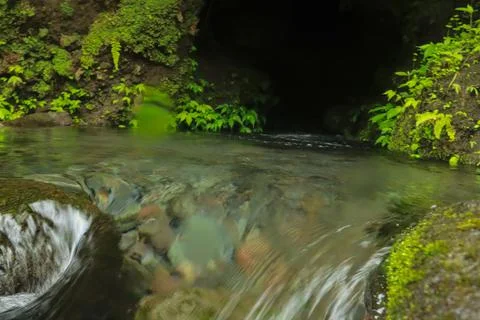 Flowing Stream and Rocks Stock Photos