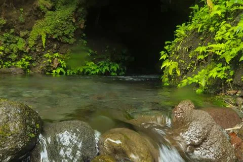 Flowing Stream and Rocks Stock Photos