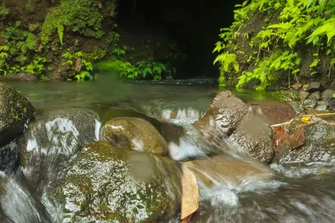 Flowing Stream and Rocks Stock Photos