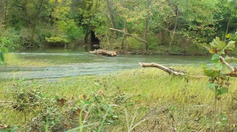 Flowing Stream in Autumn Stock Footage 43067038