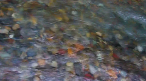 Flowing Stream Background Stock-Footage 33445686