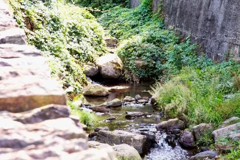 Flowing stream between the stones Stock Photos