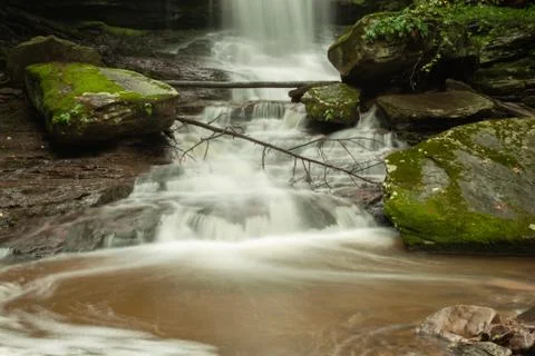 Flowing stream with branches Stock Photos
