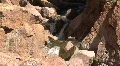 Flowing Stream In Canyon In The Jemez Mountains HD Footage