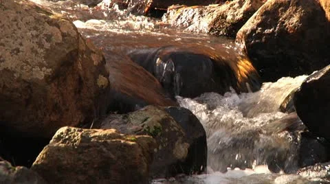 Flowing stream close with sun Stock Footage 8983828