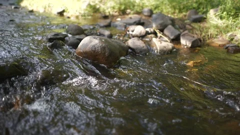 Flowing stream closeup during summer -  Slow Motion 150 FPS HD - Pan Stock Footage 120262355