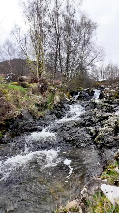 Flowing stream creating small waterfalls in Lake District. vertical video 스톡 동영상 333706876