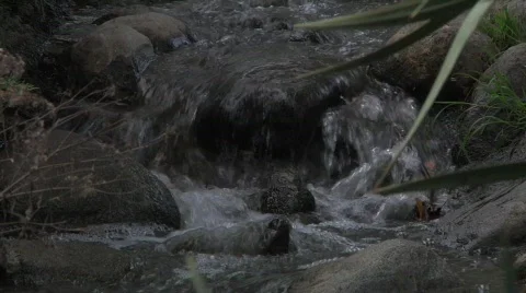 Flowing Stream CU Stock Footage 645640
