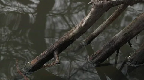 Flowing Stream CU Stock Footage 645645