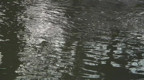 Flowing Stream CU Stock Footage 645663