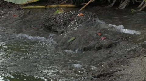 Flowing Stream CU Stock Footage 645669