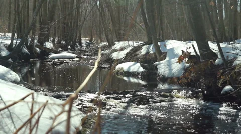 Flowing stream during Spring thaw, slider move Stock Footage 48706193