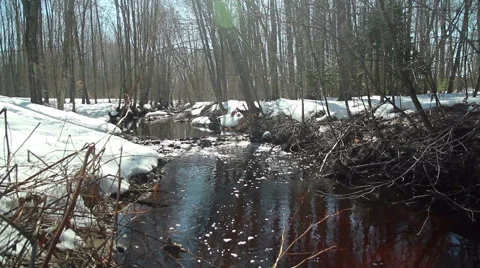 Flowing stream during Spring thaw, pan down, wide shot Stock Footage 48706927