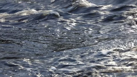 Flowing Stream, England, UK Stock Footage 254461785