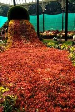 Flowing Stream of Flower Bed Stock Photos
