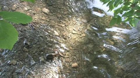 Flowing Stream 스톡 동영상 753915