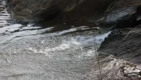 Flowing stream Stock Footage 9901539