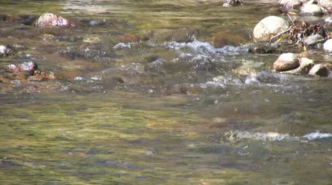 Flowing Stream Vídeos de archivo 12574643