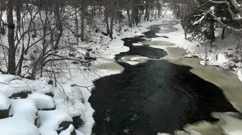 Flowing Stream Stock Footage 21887100