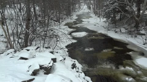 Flowing Stream Vidéo 21893419