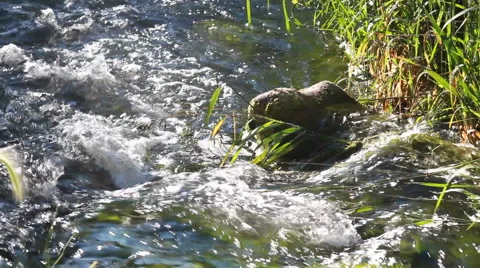 Flowing Stream Stock-Footage 46832747