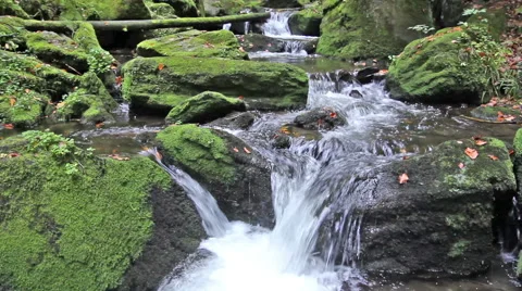Flowing stream Video stock 48954648