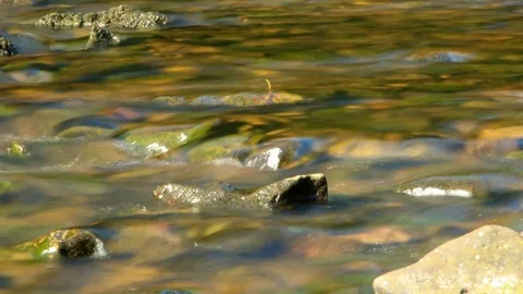 Flowing Stream Video stock 93781629