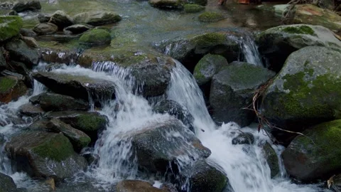 Flowing Stream Stock Footage 199377552