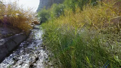 Flowing stream Stock Footage 235106910