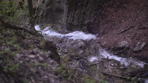 Flowing Stream in Forest 01 Stock Footage 81190233