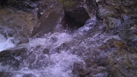 Flowing Stream in Forest 02 Stock Footage 81190376