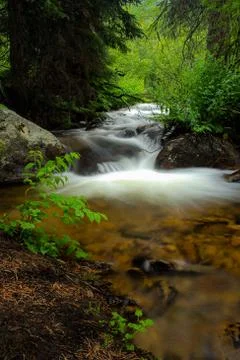 Flowing stream in the forest Stock Photos