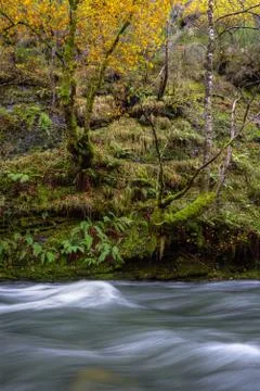 Flowing Stream in front of a Slate Cliff Stock Photos