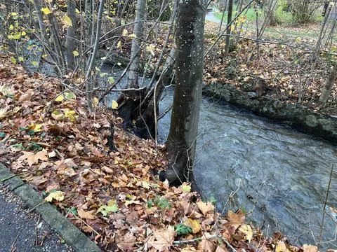 Flowing Stream Germany Foto stock