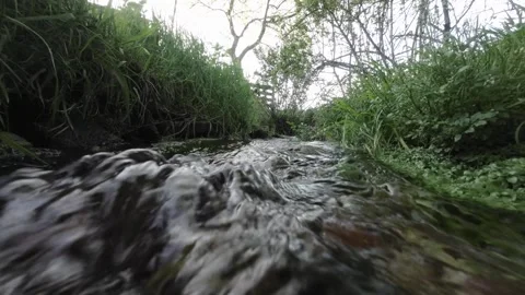 Flowing Stream in a Green Meadow 스톡 동영상 284771379