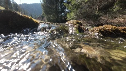 A flowing stream just above the surface with surrounding nature and trees Stock Footage 305854782