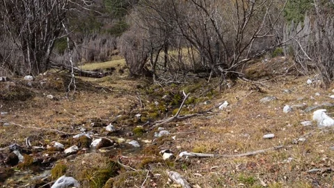 Flowing stream meanders through dry landscape with trees, camera pans right Video stock 319557541